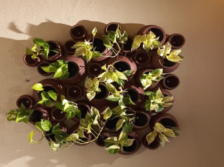 Greenscape Creation